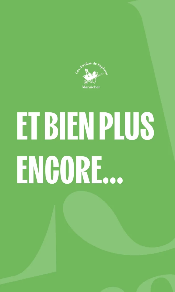 Sans titre-2 copie 4